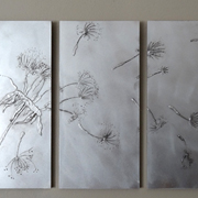 Dandelion triptych 