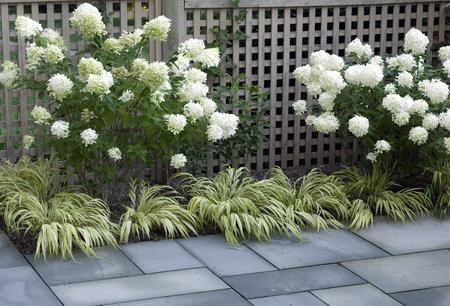 Design a beautiful patio area