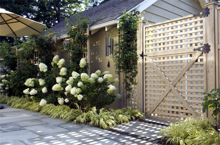 Design a beautiful patio area