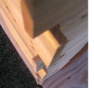 Build an outdoor fort 