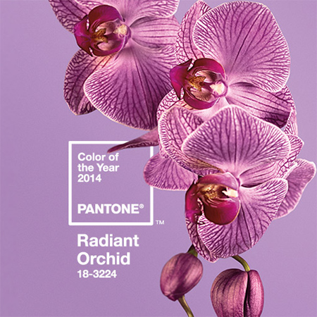 Radiant Orchid - Pantone colour of the year for 2014 