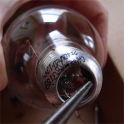 Make a light bulb terrarium