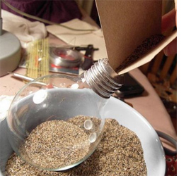 Make a light bulb terrarium