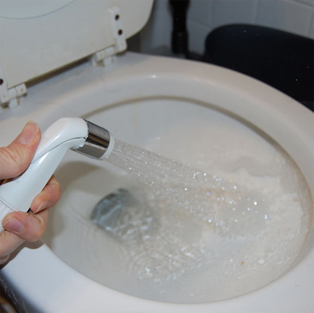 Add a shower spray to your toilet 