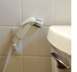 Add a shower spray to your toilet 