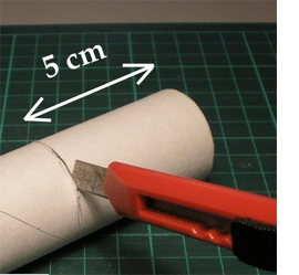 Cardboard tubes make serviette rings 