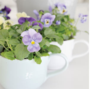 Decorate a home in delicate whites