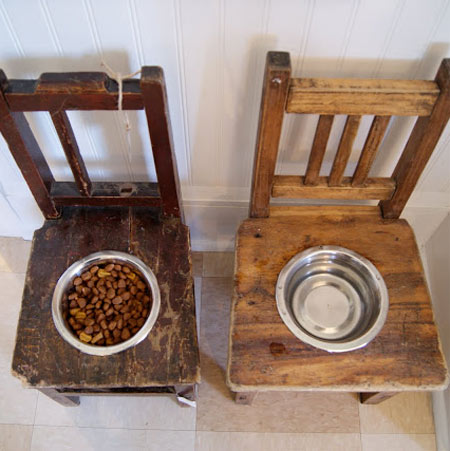 chair dog feeder bowls
