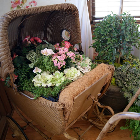 vintage wicker pram is transformed into a glorious display of potted plants