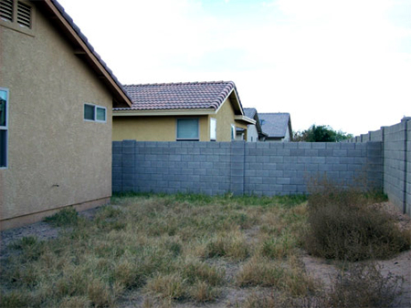 Establish a beautiful lawn 