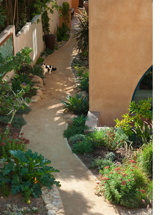 Sustainable garden design
