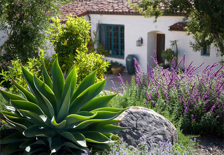Sustainable garden design