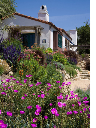 Sustainable garden design