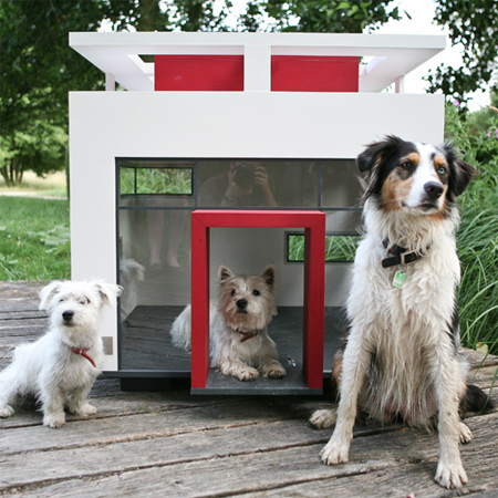 deluxe designer dream dog house cat home