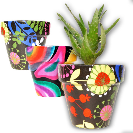 Fabric covered plant pots add a splash of colour