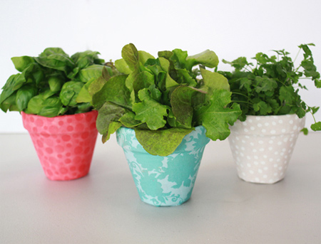 Fabric covered plant pots add a splash of colour