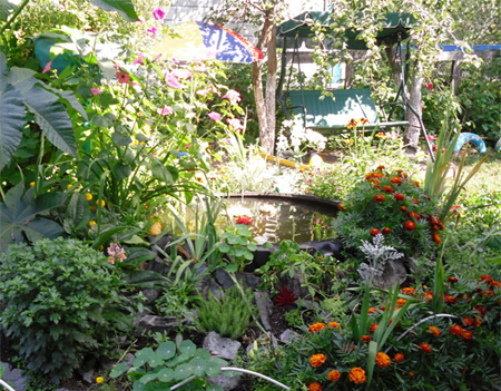 Turn an old tyre into a tranquil pond 