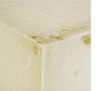 stop prevent mould stains ceiling