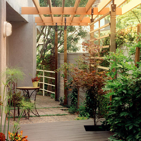 privacy in your garden