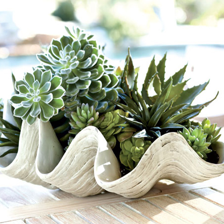 Crafts with seashells 