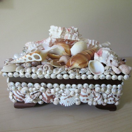seashell box 