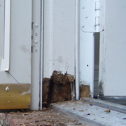 Repair damage by wood rot 