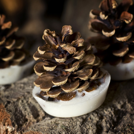 Make your own fragrant fire lighters using pine cones