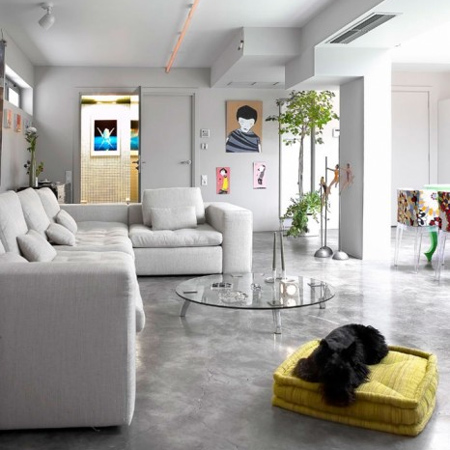 polished concrete floor in garage turned into living space