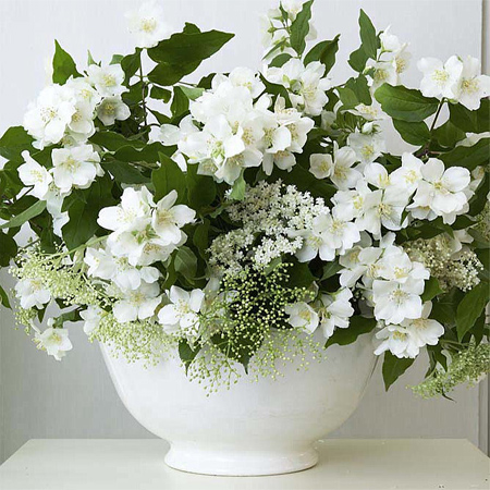 fresh spring flower arrangement display