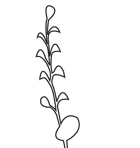 loral stencil design to plain wall