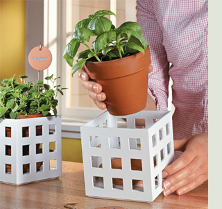Decorative lattice frames for potted plants 