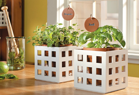 Decorative lattice frames for potted plants 