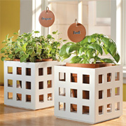 Decorative lattice frames for plant pots