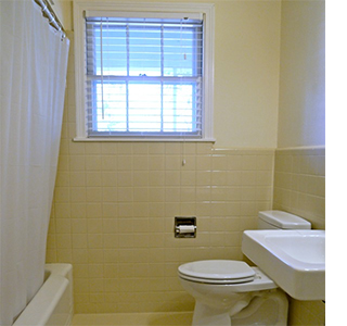 Decorate bathroom in rental home