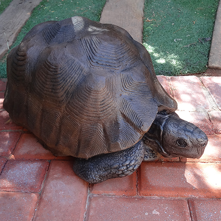 rustoleum spray paint for outdoor furniture and garden ornaments