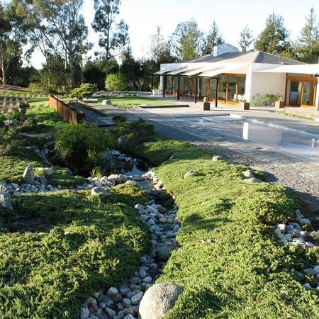 low maintenance garden dry riverbed with pebbles