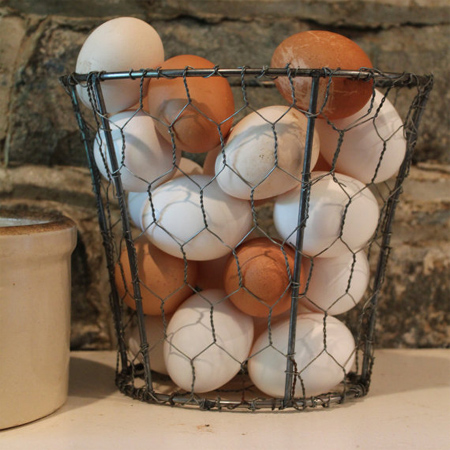 repurpose recycle reuse lampshade frame with chicken wire egg holder