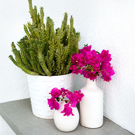 Transform your outdoors into an entertainment area 