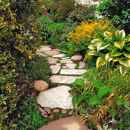 Reclaimed timber and wood pallet paths and walkways