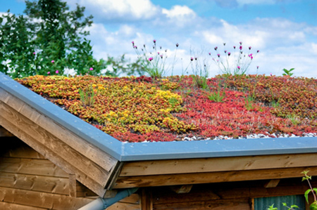 How to build your own green roof