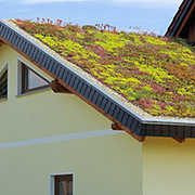 How to build your own green roof