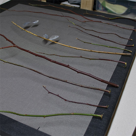 collect twigs to hot glue onto the mesh for the fireplace screen
