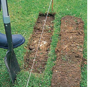 Make a simple raised garden bed 