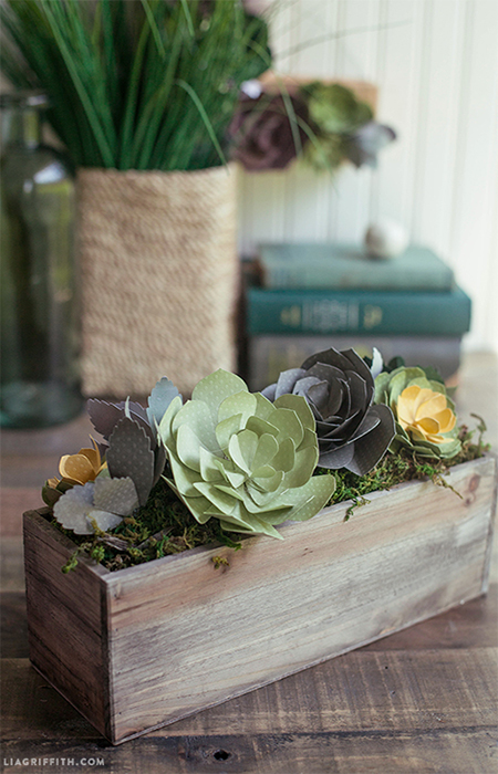 paper card succulent plants gift christrmas festive holiday decorations