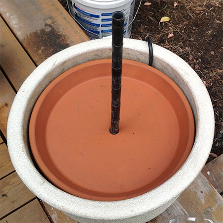 Cool water feature for a hot garden