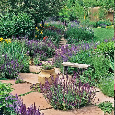 Start a garden from scratch