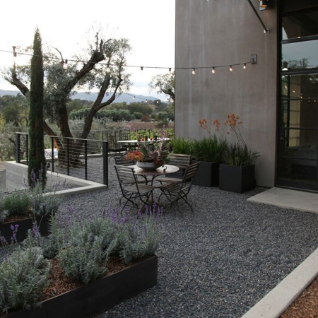 Start a garden from scratch