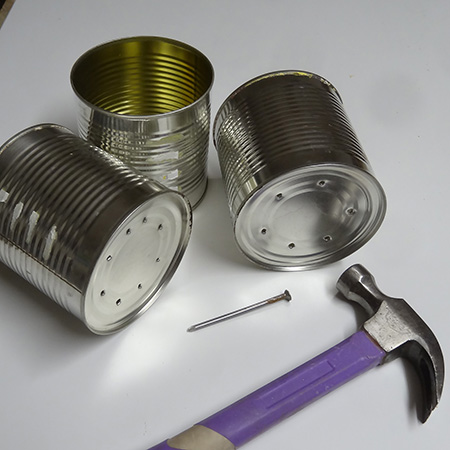 recycle tins or cans into plant holders