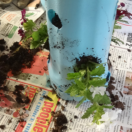 Recycle a pool floater into hanging plant holder