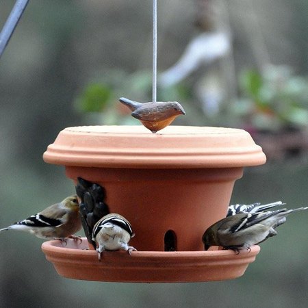 terra cotta pots to make a bird feeder